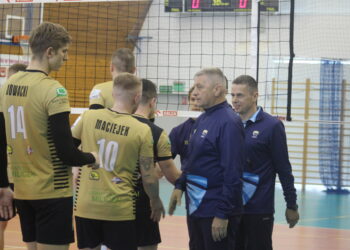 W złocie im do twarzy