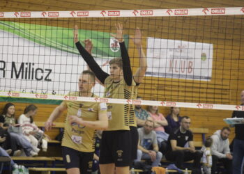 W złocie im do twarzy