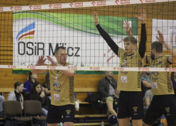 W złocie im do twarzy