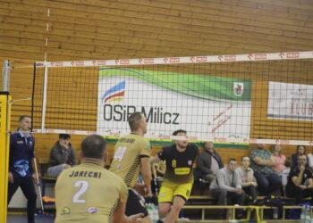 W złocie im do twarzy