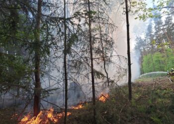 Płonął las w Chachalni