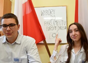 Prawybory do Unii Europejskiej w ZSP 2