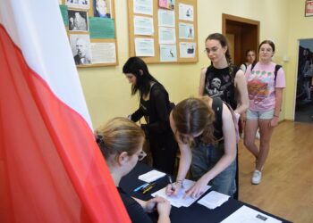 Prawybory do Unii Europejskiej w ZSP 2