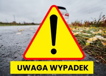 Dachowanie w Bożacinie
