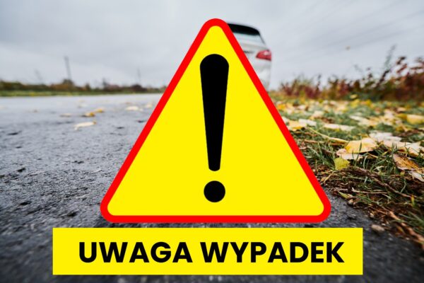 Dachowanie w Bożacinie