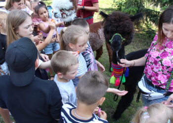 Festyn z okazji Dnia Dziecka