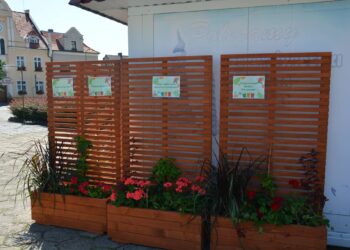 Strefa relaksu na koźmińskim Rynku