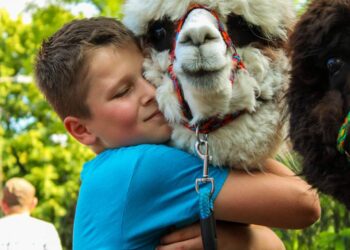 Festyn z okazji Dnia Dziecka