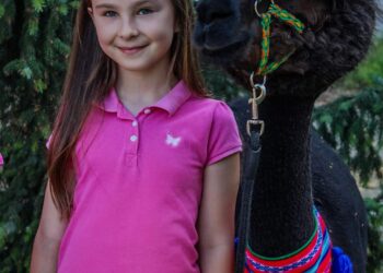 Festyn z okazji Dnia Dziecka