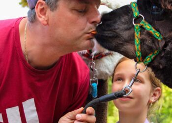 Festyn z okazji Dnia Dziecka