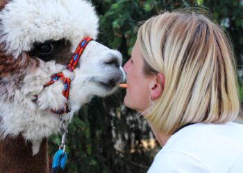 Festyn z okazji Dnia Dziecka