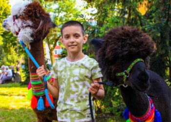 Festyn z okazji Dnia Dziecka