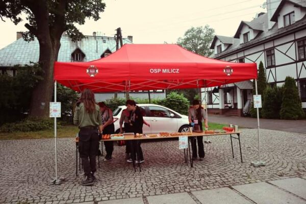 Harcerze wzięli sprawy w swoje ręce Harcerze wzięli sprawy w swoje ręce