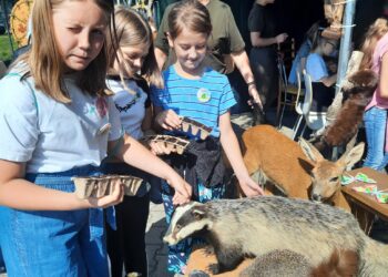 „Ziemia dla nas, my dla Ziemi”