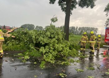 Strażacy mieli ręce pełne roboty
