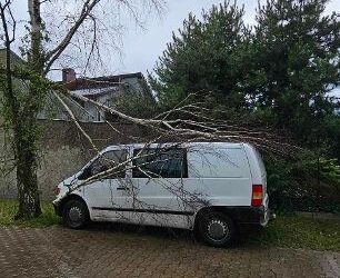 Strażacy mieli ręce pełne roboty
