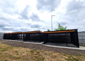 Nowe kojce dla bezdomnych psów