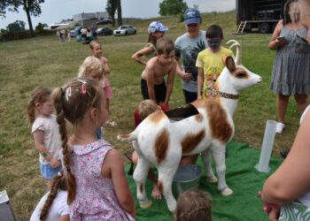 Dzień pełen radości i niespodzianek