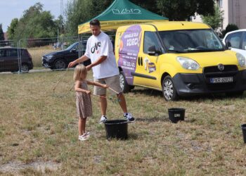 Festiwalowe szaleństwo