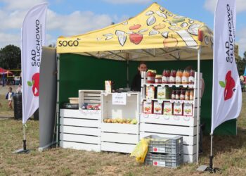 Festiwalowe szaleństwo