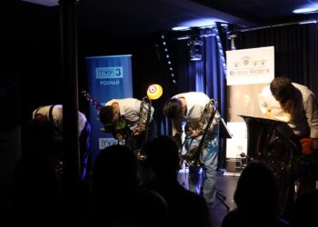 Muzyka rozumiana bez słów