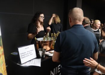 Muzyka rozumiana bez słów