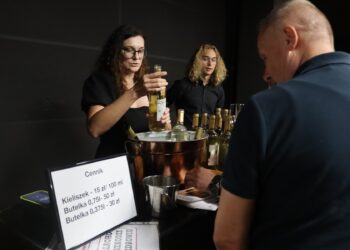 Muzyka rozumiana bez słów