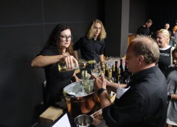 Muzyka rozumiana bez słów