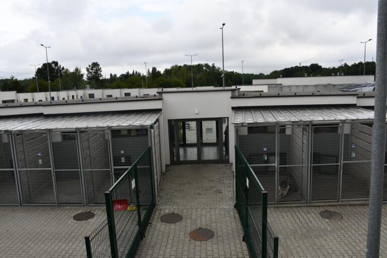 Czy to początek nowej ery dla schroniska?