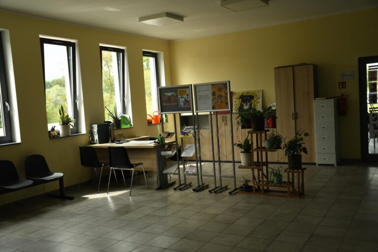 Czy to początek nowej ery dla schroniska?