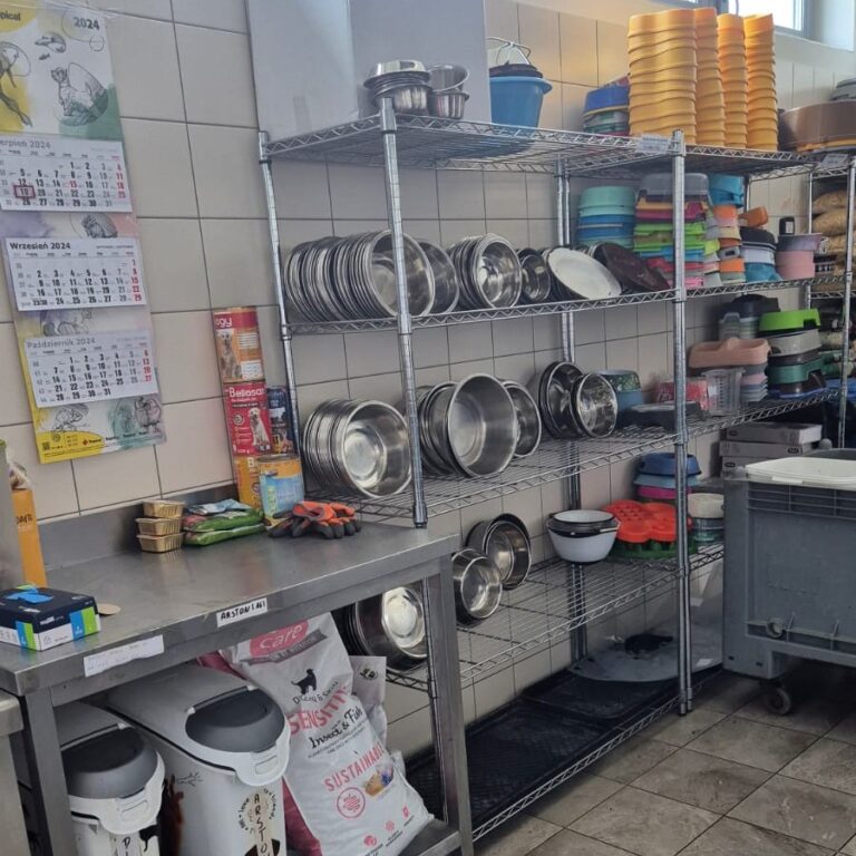 Czy to początek nowej ery dla schroniska?