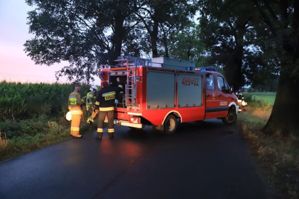 Szybka interwencja strażaków po kolizji w Miliczu