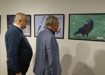 Wernisaż wystawy „Okolica Ptaków” w Galerii Refektarz