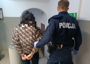 Dwa nakazy, dwa zatrzymania – udana akcja mundurowych