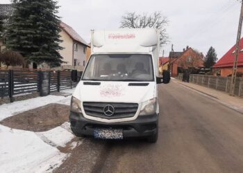 Zamiast pasa – promile