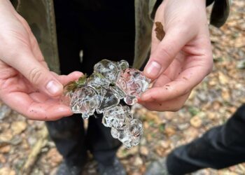 Zimowisko harcerskie w Pstrążnej – przygoda i nauka w duchu braterstwa