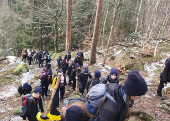 Zimowisko harcerskie w Pstrążnej – przygoda i nauka w duchu braterstwa