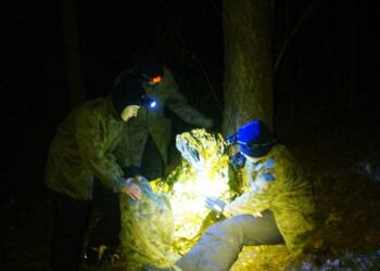 Zimowisko harcerskie w Pstrążnej – przygoda i nauka w duchu braterstwa