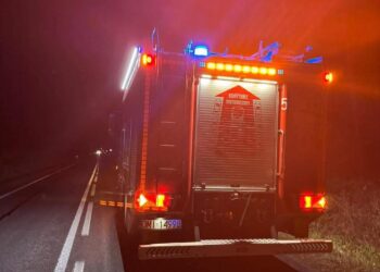 Trzy interwencje w ciągu jednego dnia