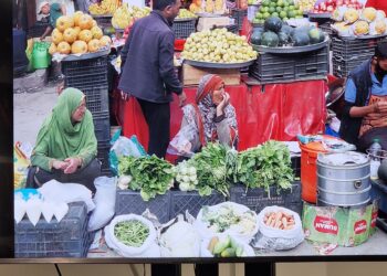 Himalajskie ścieżki Mateusza Krzyżosiaka