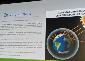 Dobry klimat dla współpracy
