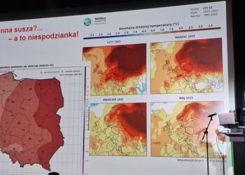 Dobry klimat dla współpracy
