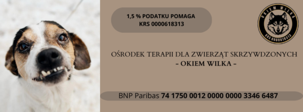 Pomoc dla zwierząt – przekaż 1,5% podatku lub darowiznę!