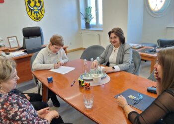 Powiat milicki i gmina Krośnice wspólnie przebudują drogę