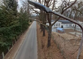 Inwestycja w energooszczędność
