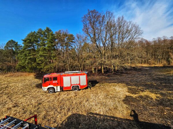 Pożar nieużytków w Sułowie