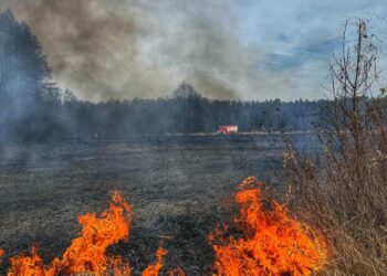 Pożar nieużytków w Sułowie