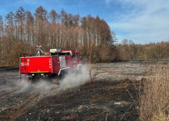 Pożar nieużytków w Sułowie