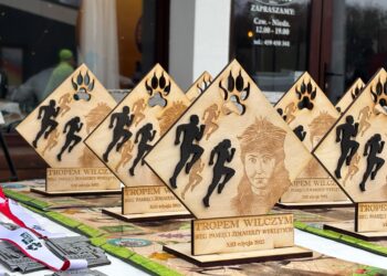 Bieg „Tropem Wilczym” w Miliczu