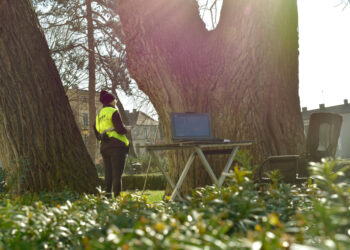 Nowoczesne badania dendrologiczne w Krotoszynie